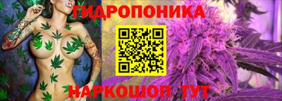 дживик Котовск