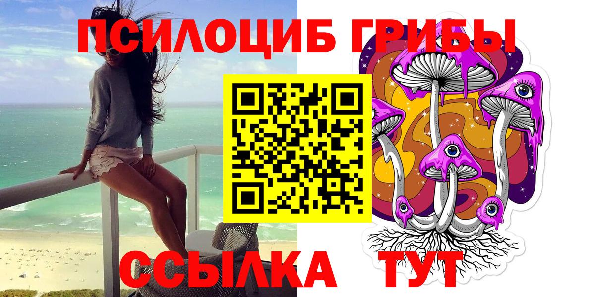 Псилоцибиновые грибы Psilocybe Большой Камень