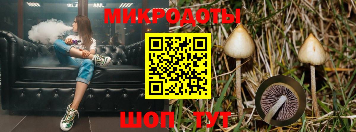 Галлюциногенные грибы GOLDEN TEACHER Большой Камень